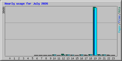 Hourly usage for July 2026